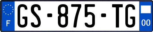 GS-875-TG