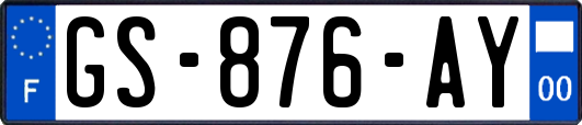 GS-876-AY