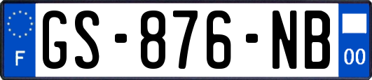 GS-876-NB