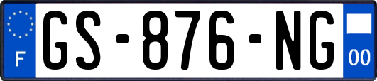 GS-876-NG