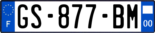 GS-877-BM