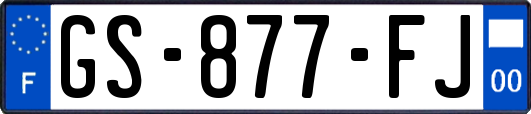 GS-877-FJ