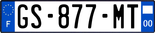 GS-877-MT