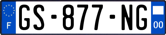 GS-877-NG