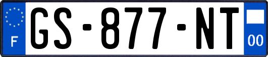 GS-877-NT