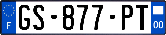 GS-877-PT