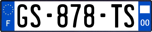 GS-878-TS