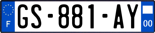 GS-881-AY