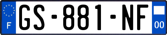 GS-881-NF