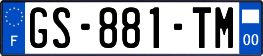 GS-881-TM