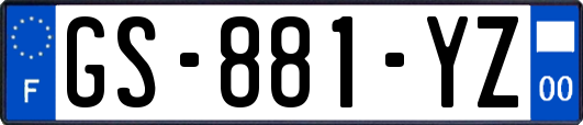 GS-881-YZ