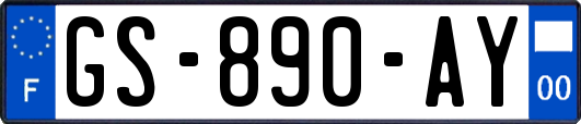 GS-890-AY