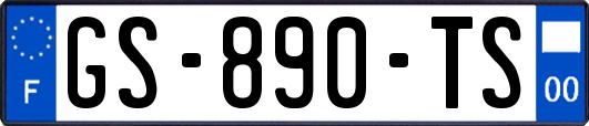 GS-890-TS