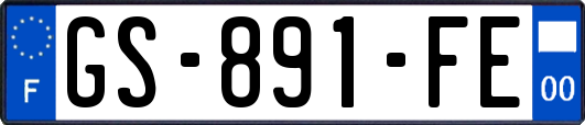 GS-891-FE