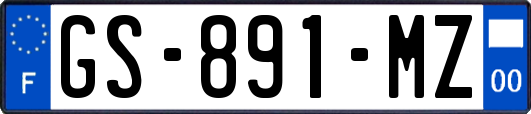 GS-891-MZ