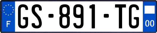 GS-891-TG