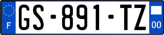 GS-891-TZ