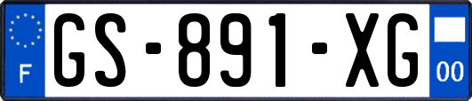 GS-891-XG