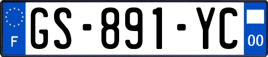 GS-891-YC