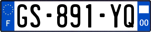 GS-891-YQ
