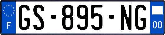 GS-895-NG