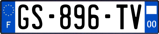 GS-896-TV