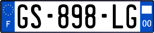 GS-898-LG
