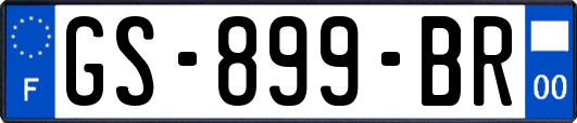 GS-899-BR