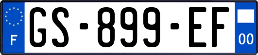 GS-899-EF