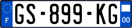 GS-899-KG