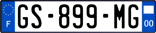 GS-899-MG