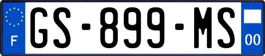 GS-899-MS