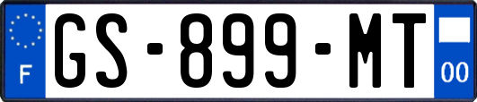 GS-899-MT