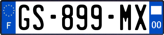 GS-899-MX