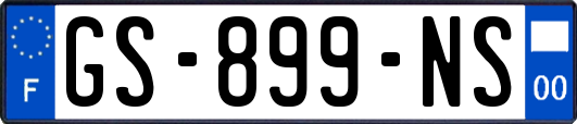 GS-899-NS