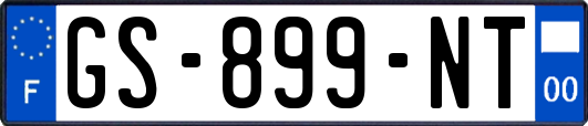 GS-899-NT