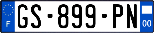 GS-899-PN