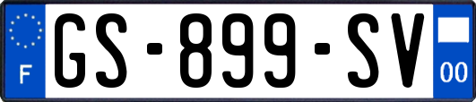 GS-899-SV