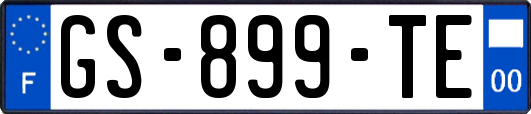 GS-899-TE