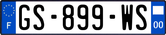 GS-899-WS