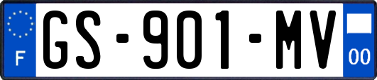 GS-901-MV
