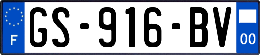 GS-916-BV