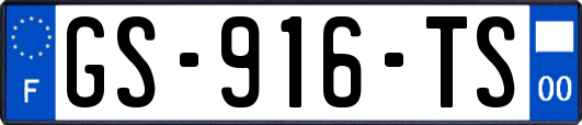 GS-916-TS
