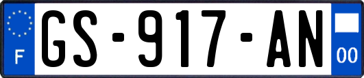 GS-917-AN