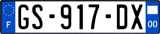GS-917-DX