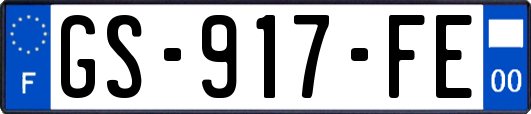 GS-917-FE