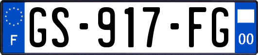 GS-917-FG