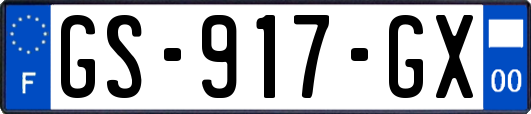 GS-917-GX