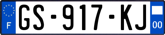 GS-917-KJ