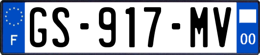 GS-917-MV